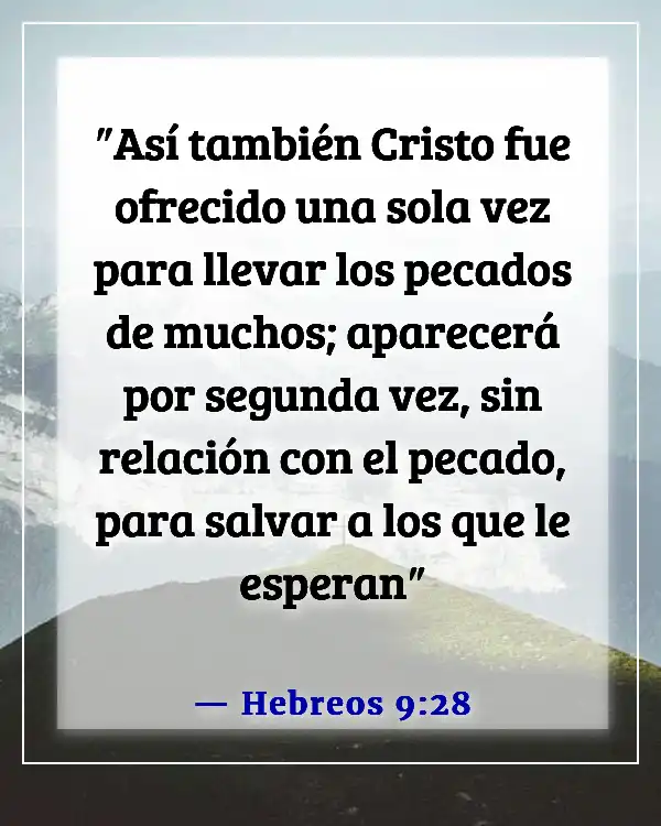 Versículos bíblicos sobre esperar el regreso de Jesús (Hebreos 9:28)