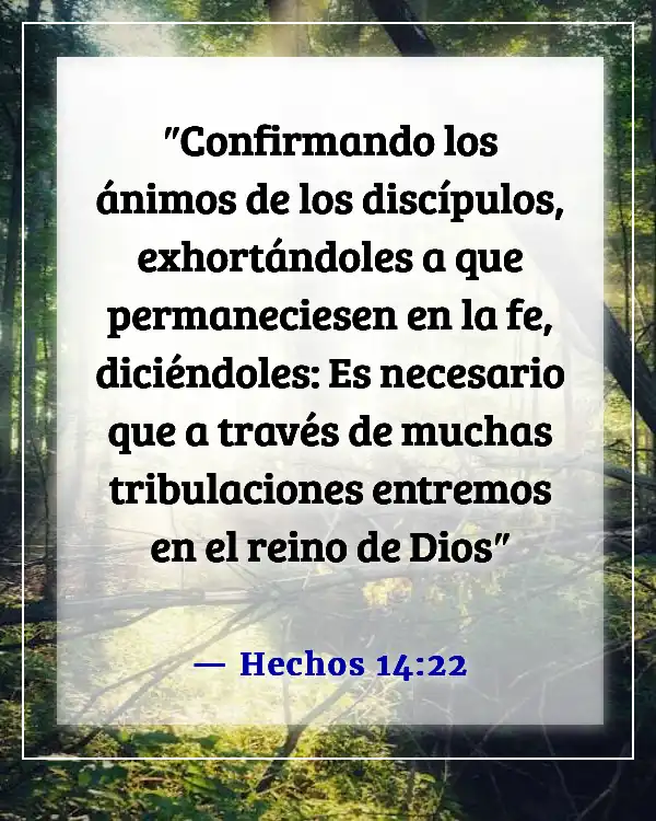 Versículo de la Biblia sobre estar agradecido por las pruebas (Hechos 14:22)