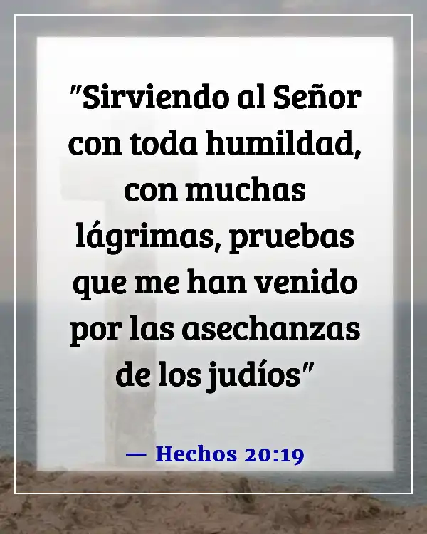 Versículos bíblicos sobre la humildad en el liderazgo (Hechos 20:19)