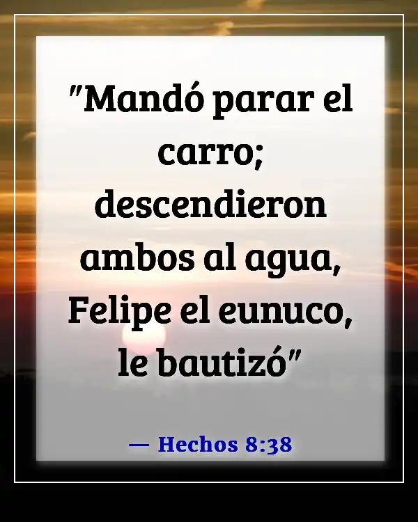 Versículos de la Biblia sobre el Sacramento del Bautismo (Hechos 8:38)