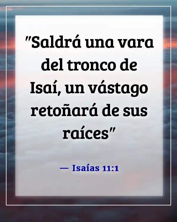 Versículos de la Biblia sobre el florecimiento de las flores (Isaías 11:1)