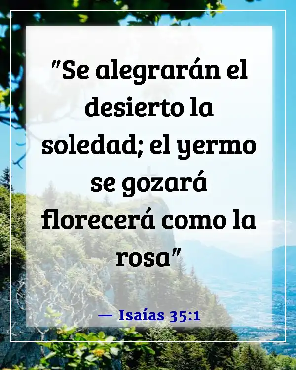 Versículos de la Biblia sobre el florecimiento de las flores (Isaías 35:1)