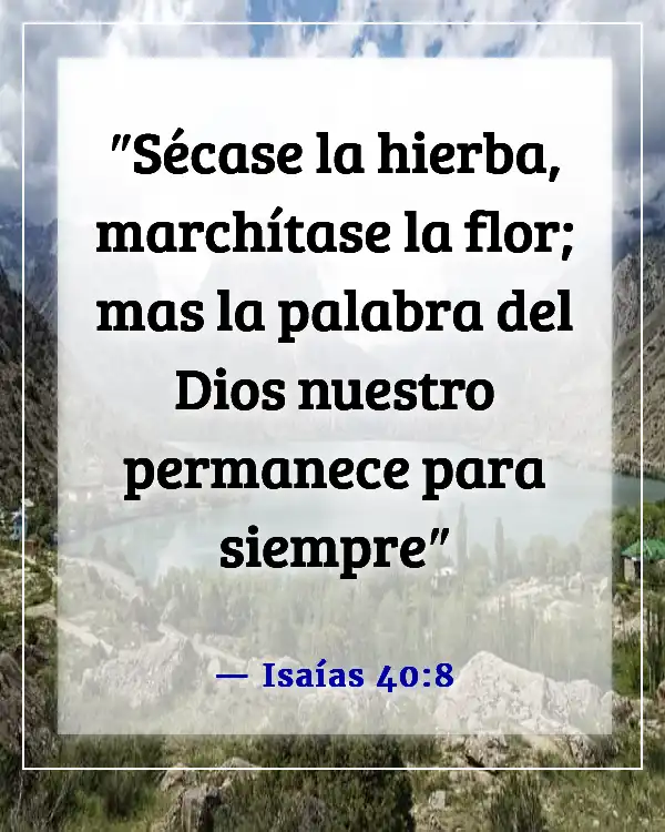 Versículos de la Biblia sobre el florecimiento de las flores (Isaías 40:8)