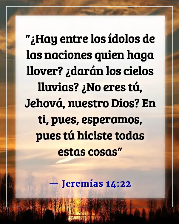 Versículos de la Biblia sobre esperar pacientemente (Jeremías 14:22)