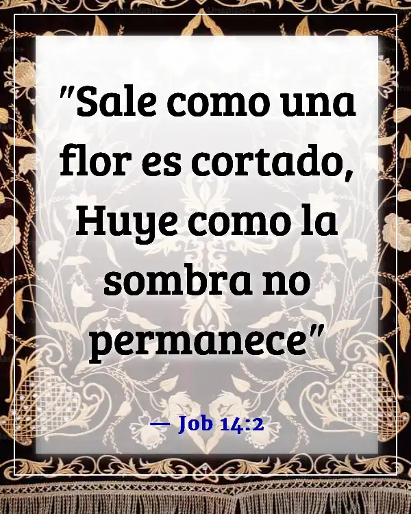 Versículos de la Biblia sobre el florecimiento de las flores (Job 14:2)