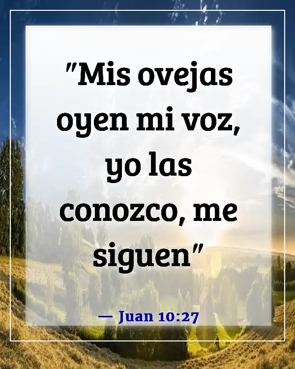 Versículos de la Biblia sobre ser conscientes de la presencia de Dios (Juan 10:27)