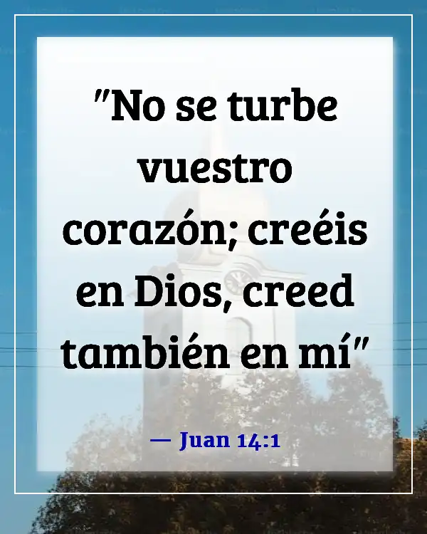 Versículos de la Biblia sobre las luchas de la vida (Juan 14:1)
