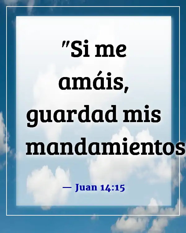 Versículos de la Biblia sobre poner a Dios en primer lugar en tu vida (Juan 14:15)