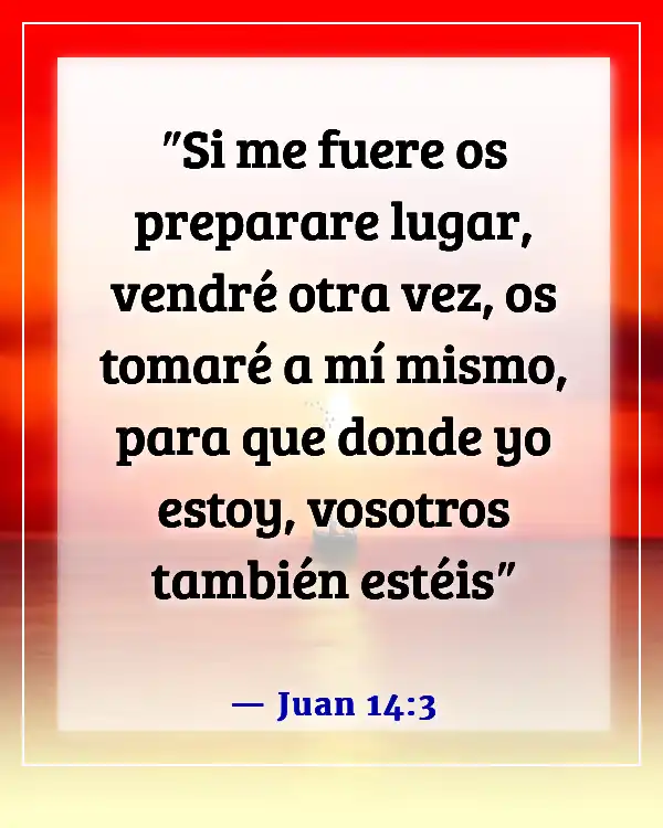 Versículos bíblicos sobre esperar el regreso de Jesús (Juan 14:3)