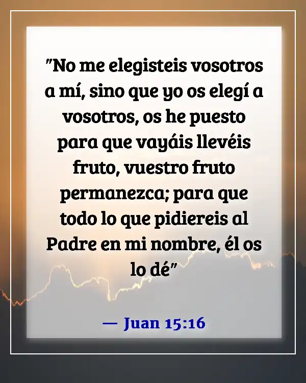 Versículo de la Biblia sobre el compromiso con el ministerio (Juan 15:16)