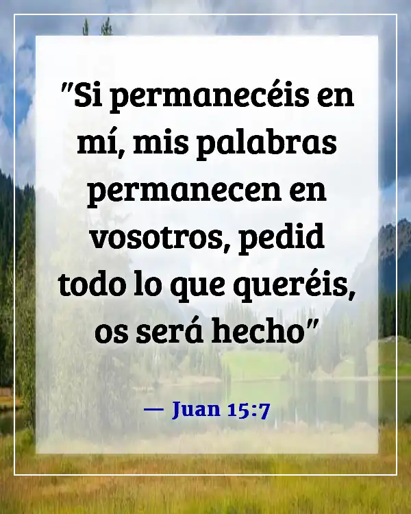 Versículo bíblico sobre perseguir sueños (Juan 15:7)