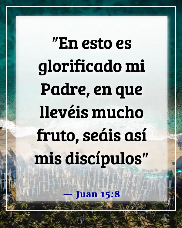 Versículos de la Biblia sobre dar fruto (Juan 15:8)