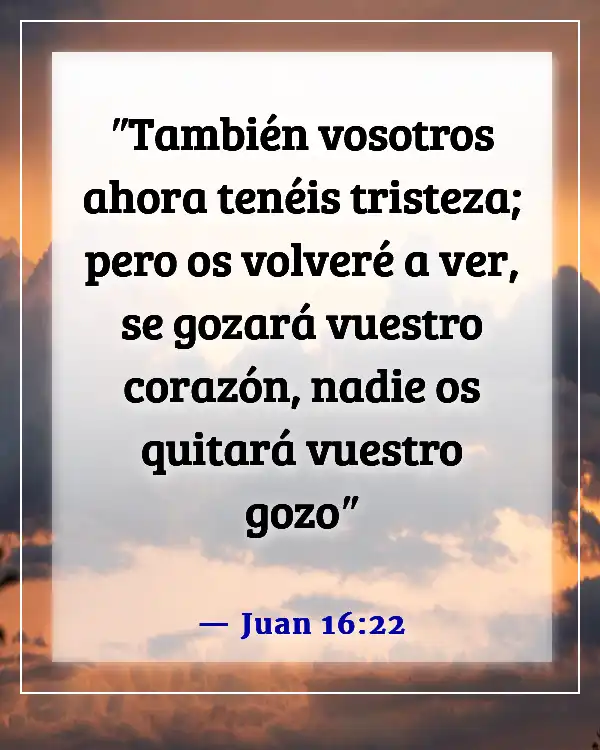 Versículos de la Biblia sobre extrañar a alguien (Juan 16:22)
