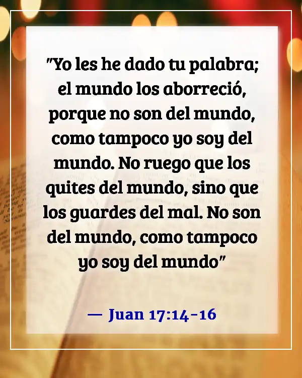 Versículo de la Biblia sobre ser apartado del mundo (Juan 17:14-16)