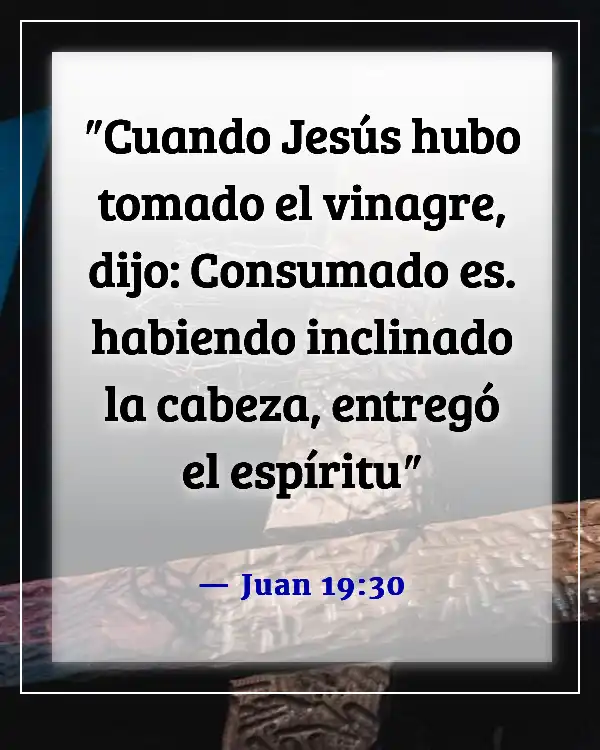 Versículo de la Biblia sobre la cruz (Juan 19:30)