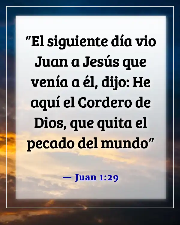 Versículo de la Biblia sobre que solo Dios puede perdonar pecados (Juan 1:29)