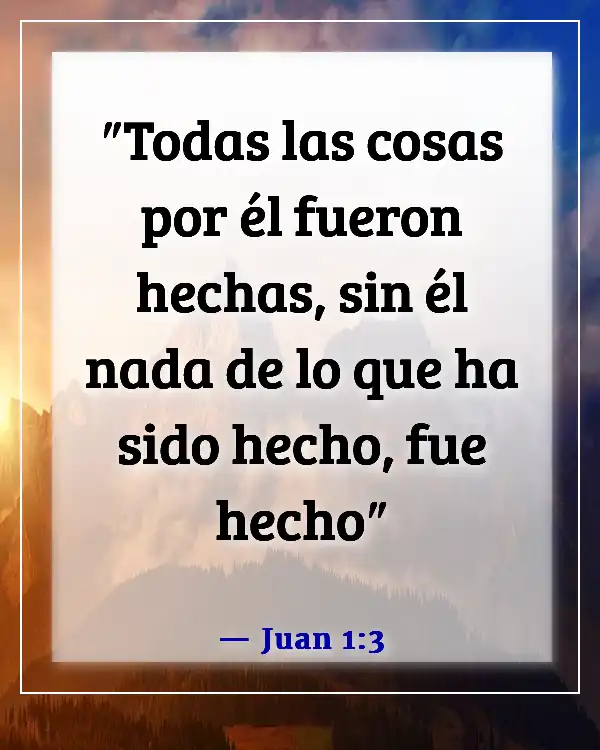 Versículos de la Biblia sobre respetar la creación de Dios (Juan 1:3)
