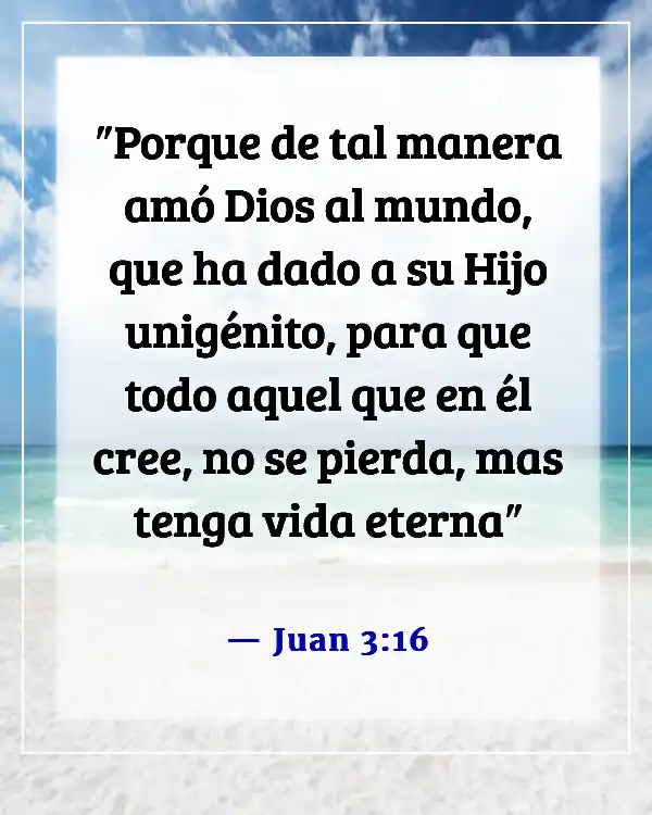 Versículos de la Biblia sobre el cielo y el infierno (Juan 3:16)