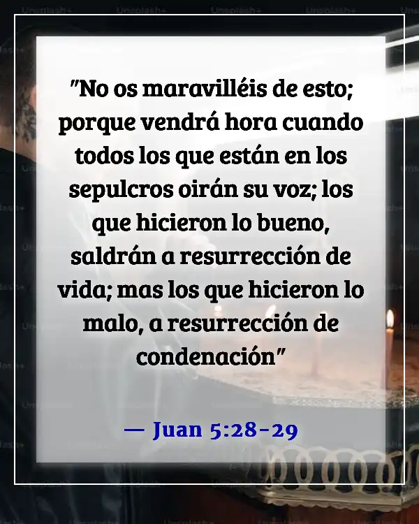 Versículos de la Biblia sobre el cielo y el infierno (Juan 5:28-29)