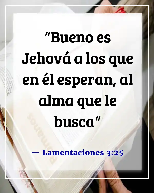 Versículos de la Biblia sobre esperar en Dios (Lamentaciones 3:25)