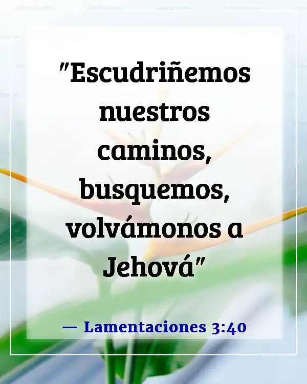 Versículo de la Biblia sobre Dios probándonos (Lamentaciones 3:40)