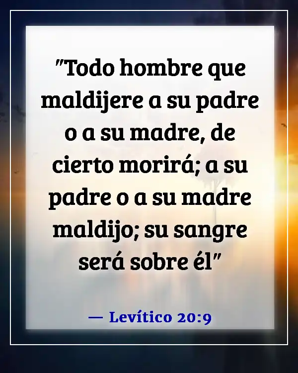 Versículos de la Biblia sobre faltar el respeto a tu madre (Levítico 20:9)