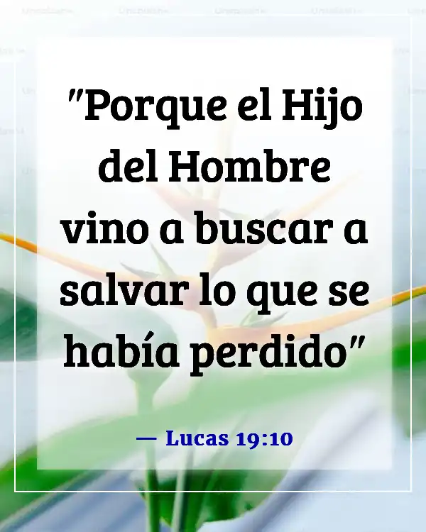 Versículos de la Biblia sobre la misión y el alcance (Lucas 19:10)