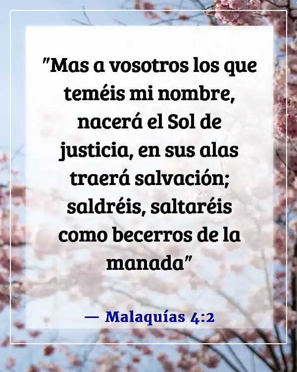 Versículos de la Biblia sobre Dios protegiéndonos de la enfermedad (Malaquías 4:2)