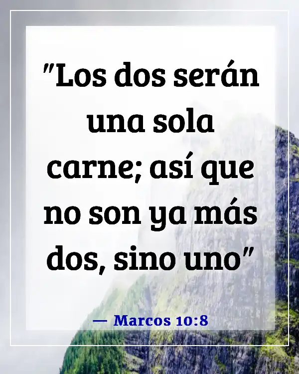 Versículos de la Biblia sobre faltar al respeto a tu esposa (Marcos 10:8)