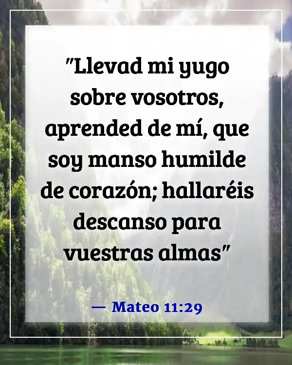 Versículos bíblicos sobre la humildad en el liderazgo (Mateo 11:29)