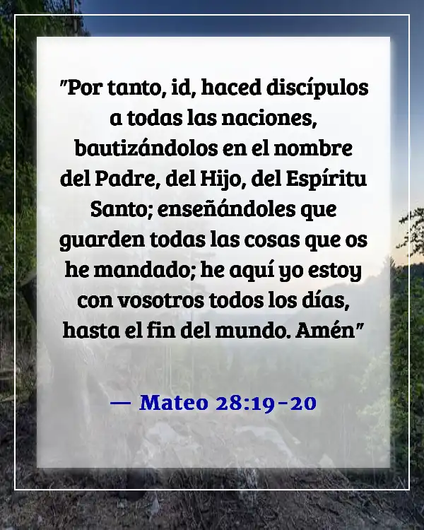 Versículos de la Biblia sobre la misión de la iglesia (Mateo 28:19-20)