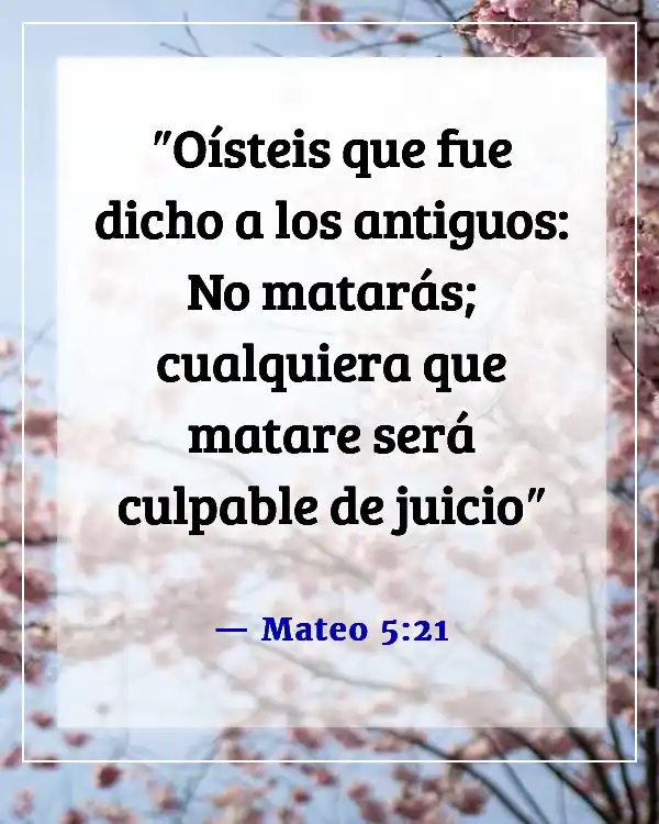 Versículos de la Biblia sobre asesinar a los inocentes (Mateo 5:21)
