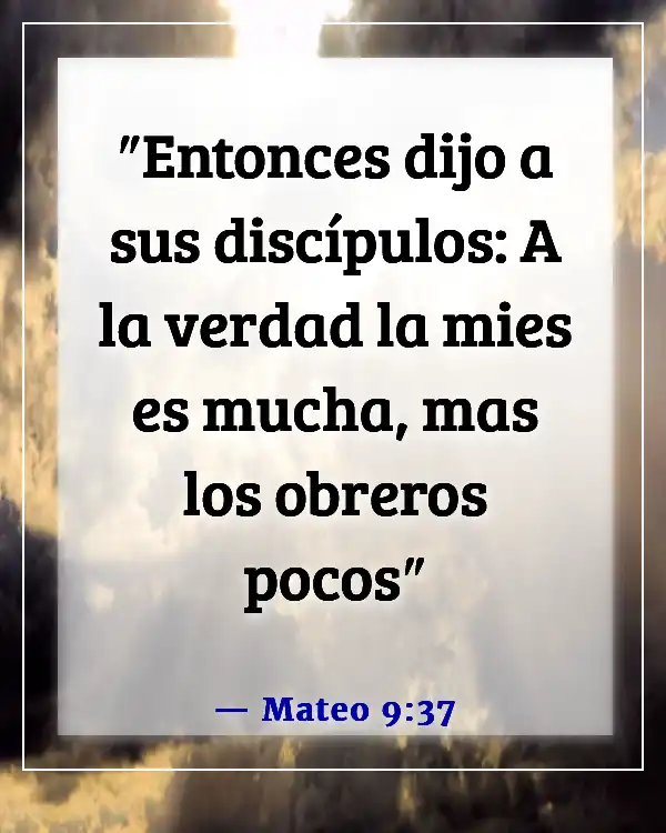 Versículos de la Biblia sobre misiones y evangelismo (Mateo 9:37)