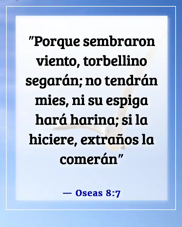 Versículos bíblicos sobre acciones y consecuencias (Oseas 8:7)