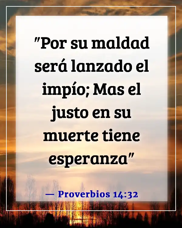 Versículos de la Biblia sobre el castigo de los malvados (Proverbios 14:32)