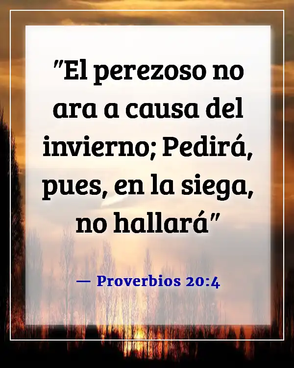 Versículos de la Biblia sobre el sueño y la pereza (Proverbios 20:4)