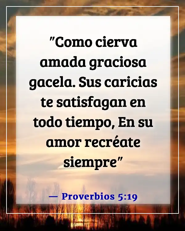 Versículos de la Biblia sobre faltar al respeto a tu esposa (Proverbios 5:19)