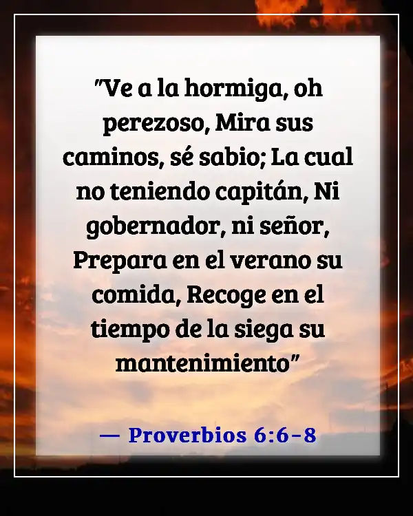 Versículos de la Biblia sobre el éxito y el trabajo duro (Proverbios 6:6-8)