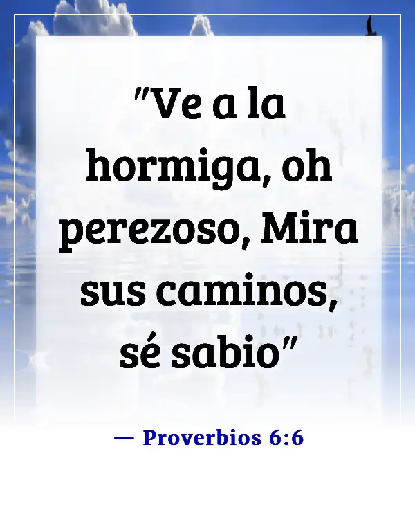 Versículos de la Biblia sobre el compromiso con el trabajo (Proverbios 6:6)