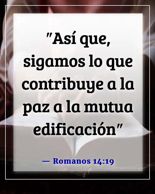 Versículo bíblico sobre problemas familiares (Romanos 14:19)