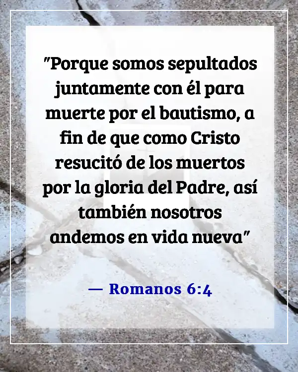 Versículos de la Biblia sobre el Sacramento del Bautismo (Romanos 6:4)