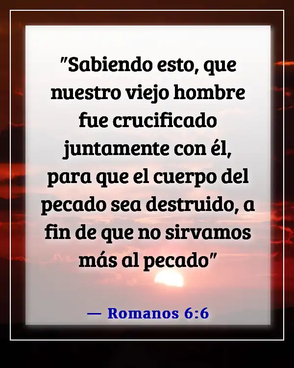 Versículos de la Biblia sobre el Sacramento del Bautismo (Romanos 6:6)