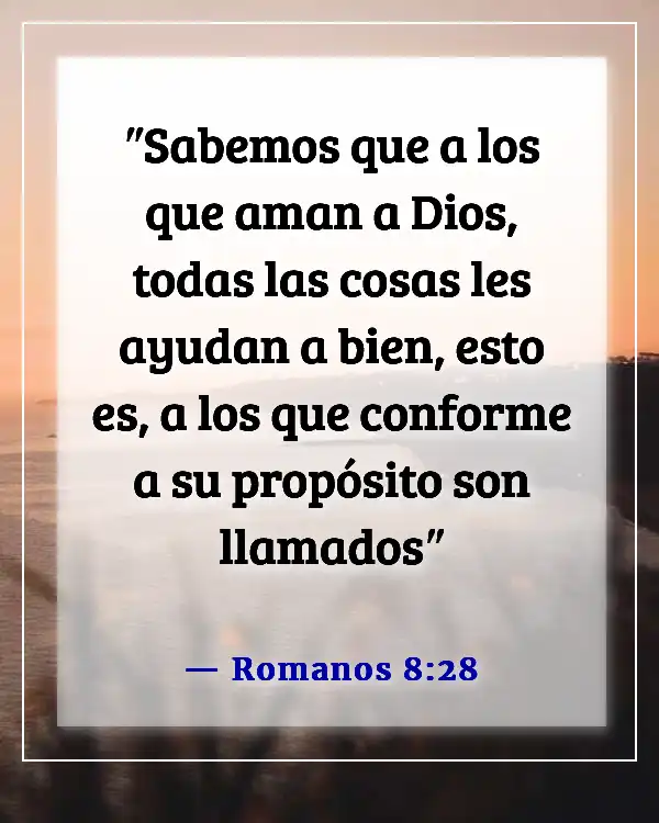 Versículos de la Biblia para problemas de fertilidad (Romanos 8:28)