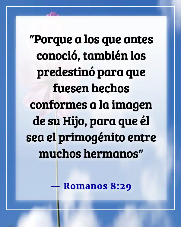 Versículo de la Biblia sobre ser apartado del mundo (Romanos 8:29)