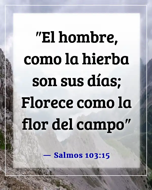 Versículos de la Biblia sobre el florecimiento de las flores (Salmos 103:15)