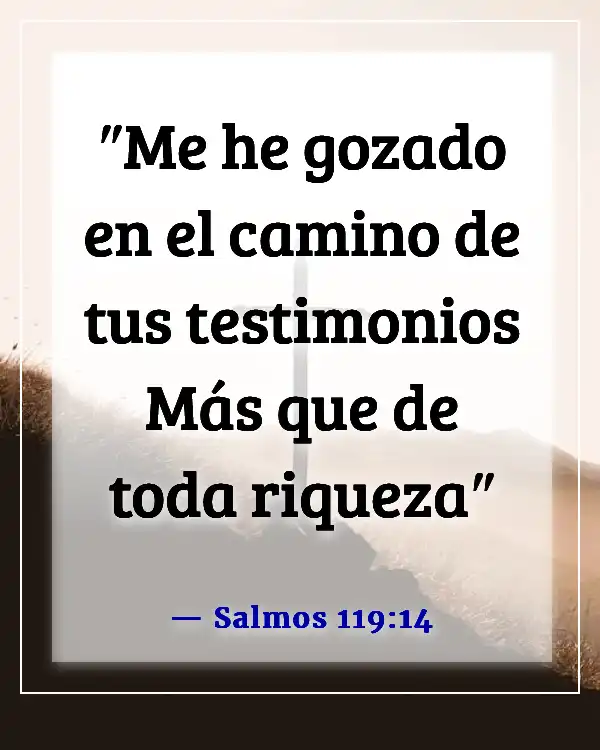 Versículo de la Biblia para problemas de dinero (Salmos 119:14)
