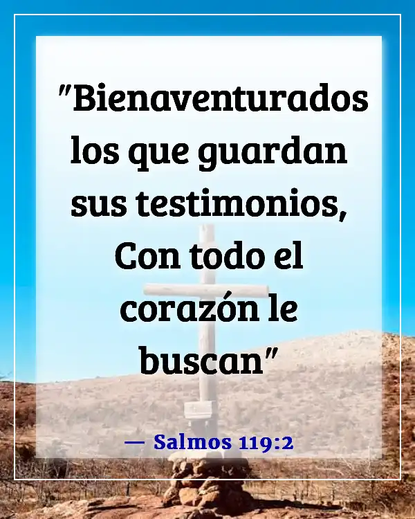 Versículos de la Biblia sobre poner a Dios en primer lugar en tu vida (Salmos 119:2)