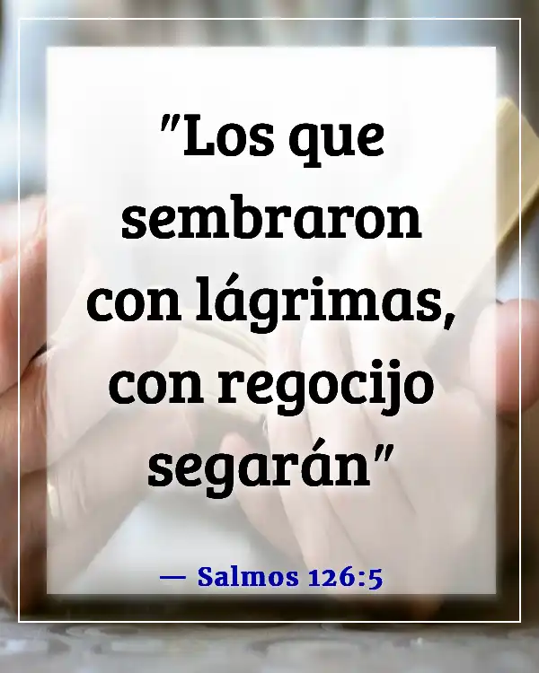 Versículos de la Biblia sobre un nuevo día (Salmos 126:5)