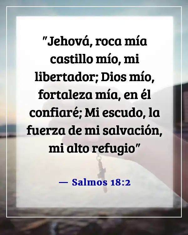 Versículos bíblicos sobre la vulnerabilidad (Salmos 18:2)