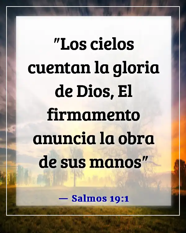 Versículos de la Biblia sobre respetar la creación de Dios (Salmos 19:1)
